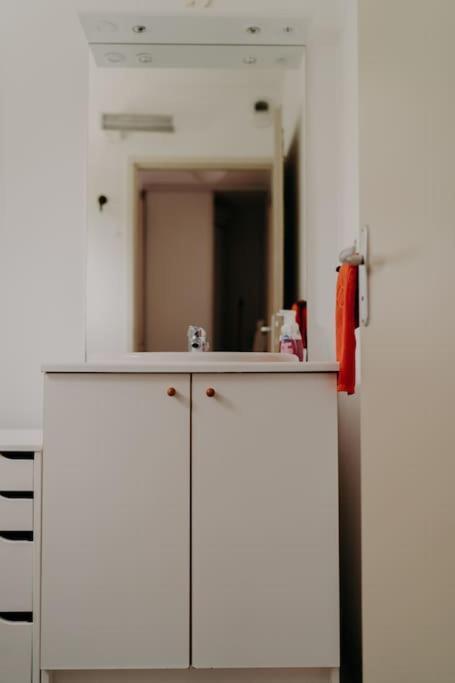 Le Nid Apartment Aureilhan  Luaran gambar