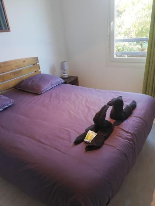 Le Nid Apartment Aureilhan  Luaran gambar